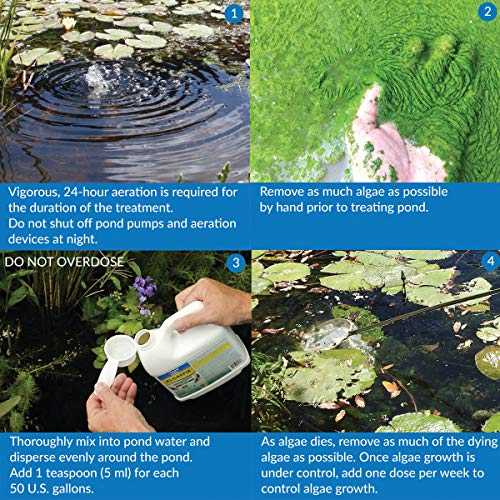 API POND ALGAEFIX Algae control, Effectively controls Green water algae, String or Hair algae and Blanketweed, Use as directed when algae blooms and as regular care 16 Fl Oz (Pack of 1) - LeoForward Australia