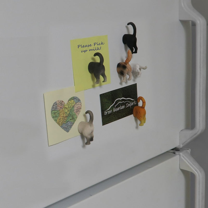  [AUSTRALIA] - Evelots Refrigerator Magnets-Cat Butts-Photo/Key Holder-6 Popular Breeds-Set/6 Set of 6