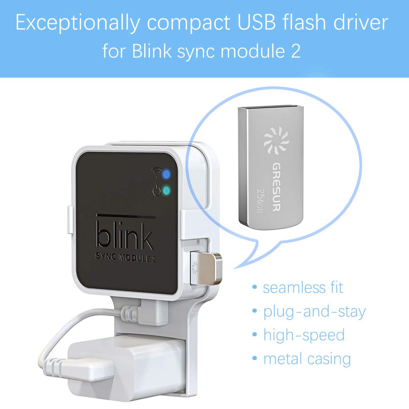 256GB Blink USB Flash Drive for Local Video Storage with The Blink Sync Module 2 Mount (Blink Add-On Sync Module 2 is NOT Included) 256 GB + 1 Pack White - LeoForward Australia