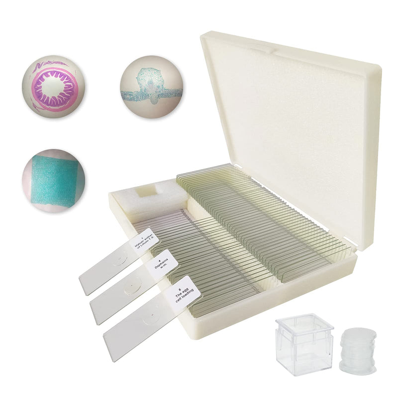  [AUSTRALIA] - 80 Blank Microscope Slides, 8 Prepared Specimen Slides and 100 Round Cover Slips, Students Lab Classroom Biology Science Accessories Kit