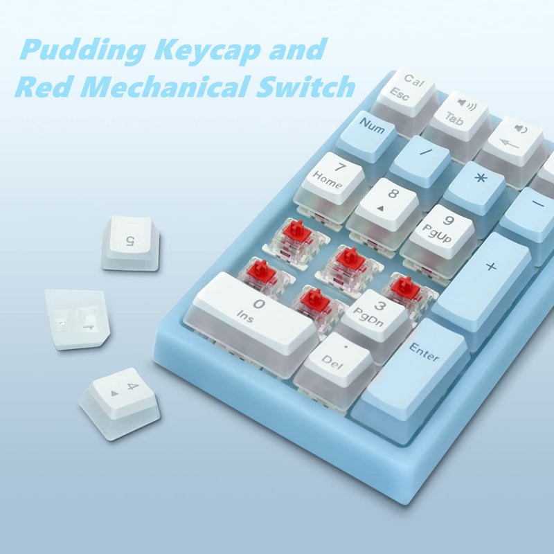  [AUSTRALIA] - Number Pad, Womier WK21 Mechanical USB Wired Numeric Keypad with RGB Backlight and Pudding Keycaps for Laptop Desktop Computer PC(Bule, Red Switches) Bule, Red Switches