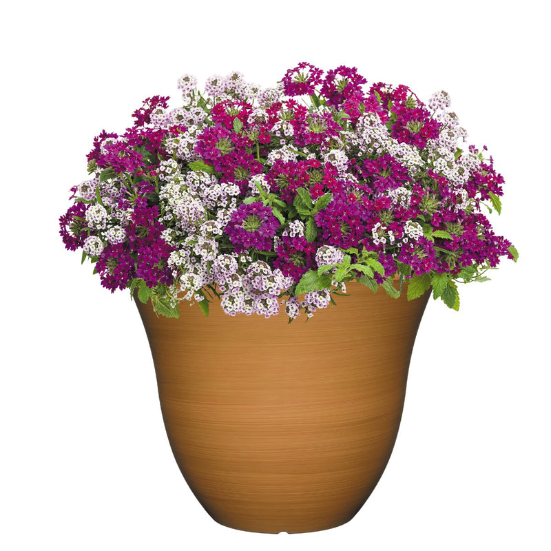 Classic Home and Garden Honeysuckle Planter, Patio Pot, 13" Bamboo - LeoForward Australia
