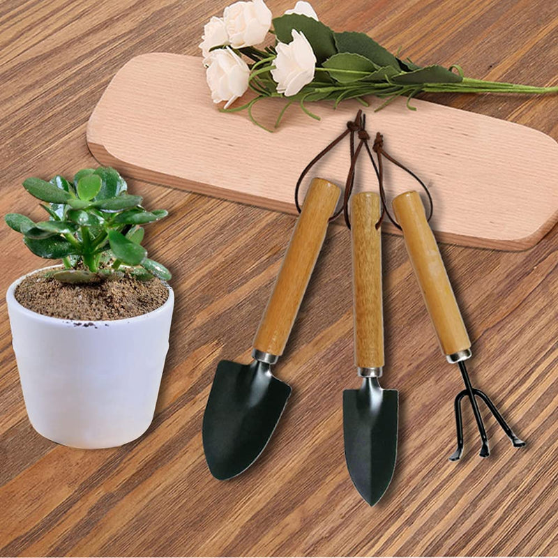  [AUSTRALIA] - Succulent Mini Garden Tool Set, Includes Hand Shovel, Transplant Shovel, Cultivator Hand Rake, Indoor Miniature Fairy Garden Plant Care (3) 3