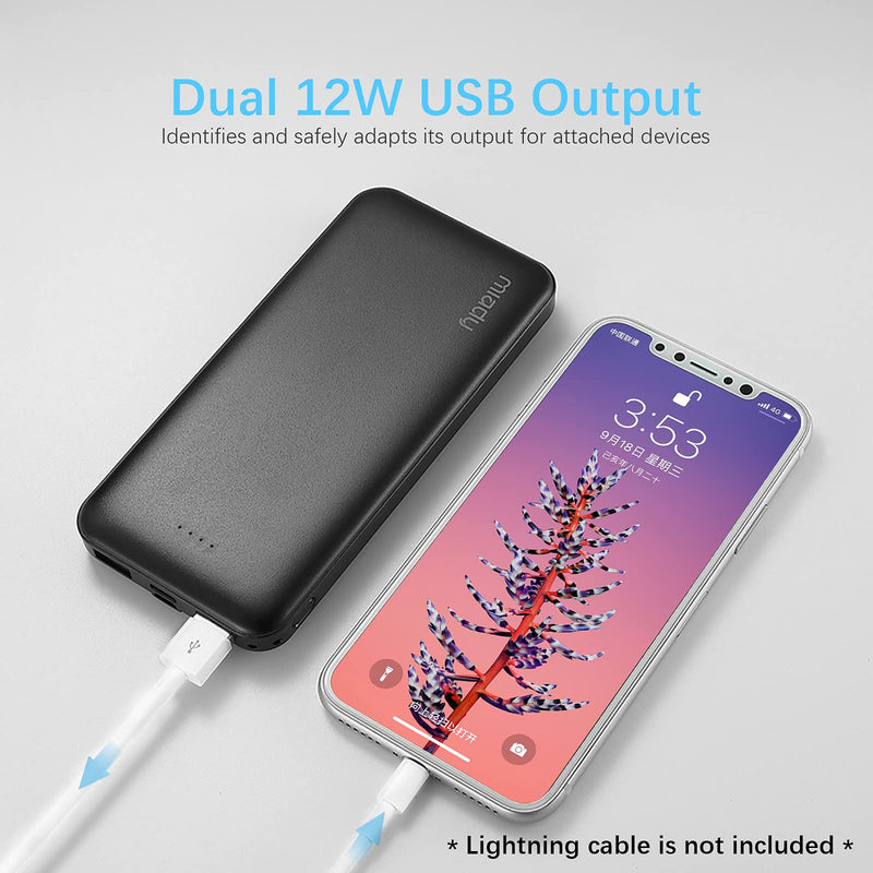 2-Pack Miady 10000mAh Dual USB Portable Charger, Fast Charging Power Bank with USB C Input, Backup Charger for iPhone X, Galaxy S9, Pixel 3 and etc … Black+White - LeoForward Australia