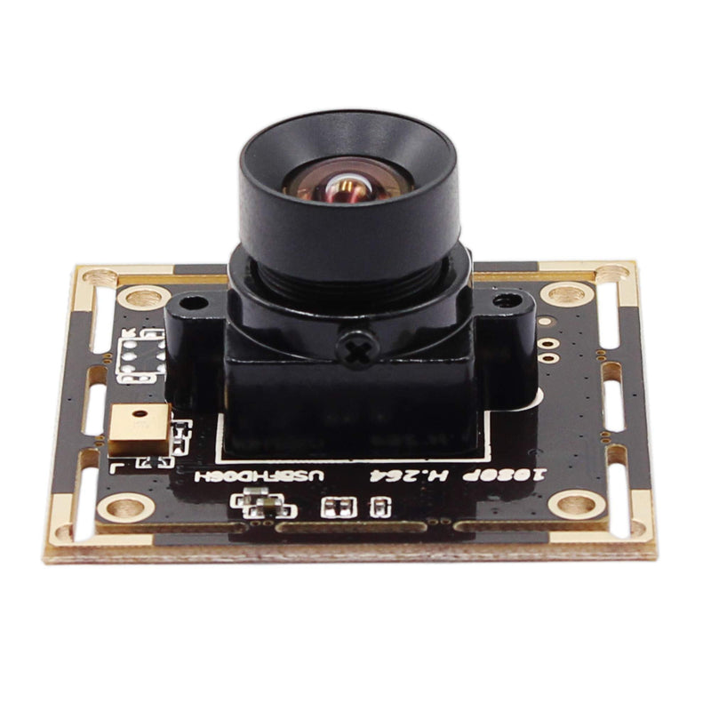  [AUSTRALIA] - 2MP USB Camera Sony IMX323 Sensor,1080P USB Camera Module with Microphone for Computer,0.01Lux Low Light and H.264 Format for PC Desktop Laptop USB Webcam for Zoom,Skype,Facetime, AMCAP(L100) 100 Degree No Distortion Lens