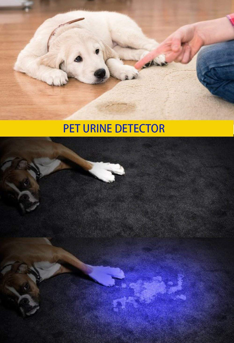 DARKBEAM USB Rechargeable UV light 395nm led Flashlight Portable 400nm Mini Detector for Dog Urine Pet Stains, Anti-counterfeiting identification, Resin Curing UV usb flashlight black - LeoForward Australia
