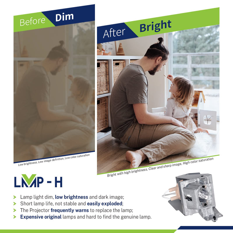  [AUSTRALIA] - LMP-H BL-FP190E/SP.8VH01GC01 Projector Lamp Bulb for Optoma OPTOMA BR323 BR326 HD26 HD141X DH1009 DH1008 DX345 DS345 DX346 DS346 EH200ST GT1070X GT1080 S310X S316 W300 W316 X315 X316 W312 X312 DW333