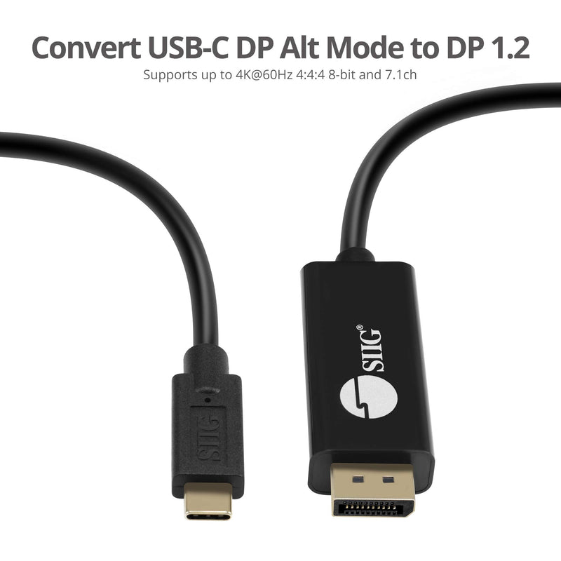  [AUSTRALIA] - SIIG 6.6ft USB-C to DisplayPort Active Cable, DP 1.2 4K60, Portable for Windows & Mac laptops or Smartphone & Tablet, USB-C DP Alt Mode Required (CB-TC0K11-S1) USB C to DisplayPort