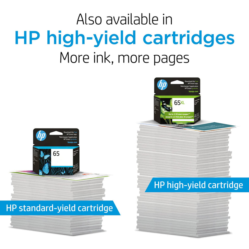 Original HP 65 Black Ink Cartridge | Works with HP AMP 100 Series, HP DeskJet 2600, 3700 Series, HP ENVY 5000 Series | Eligible for Instant Ink | N9K02AN 1 Pack - LeoForward Australia