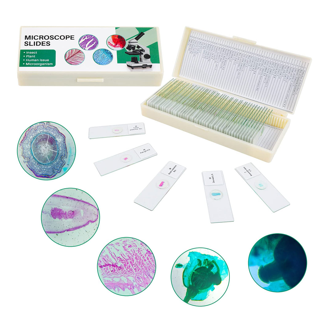  [AUSTRALIA] - 50 Prepared Microscope Slides with Specimens for Kids Students - Plants Insects Fish Animals Human Tissue Cells Samples, for Biological Science Lab, Children Education, Homeschool 50 Pcs