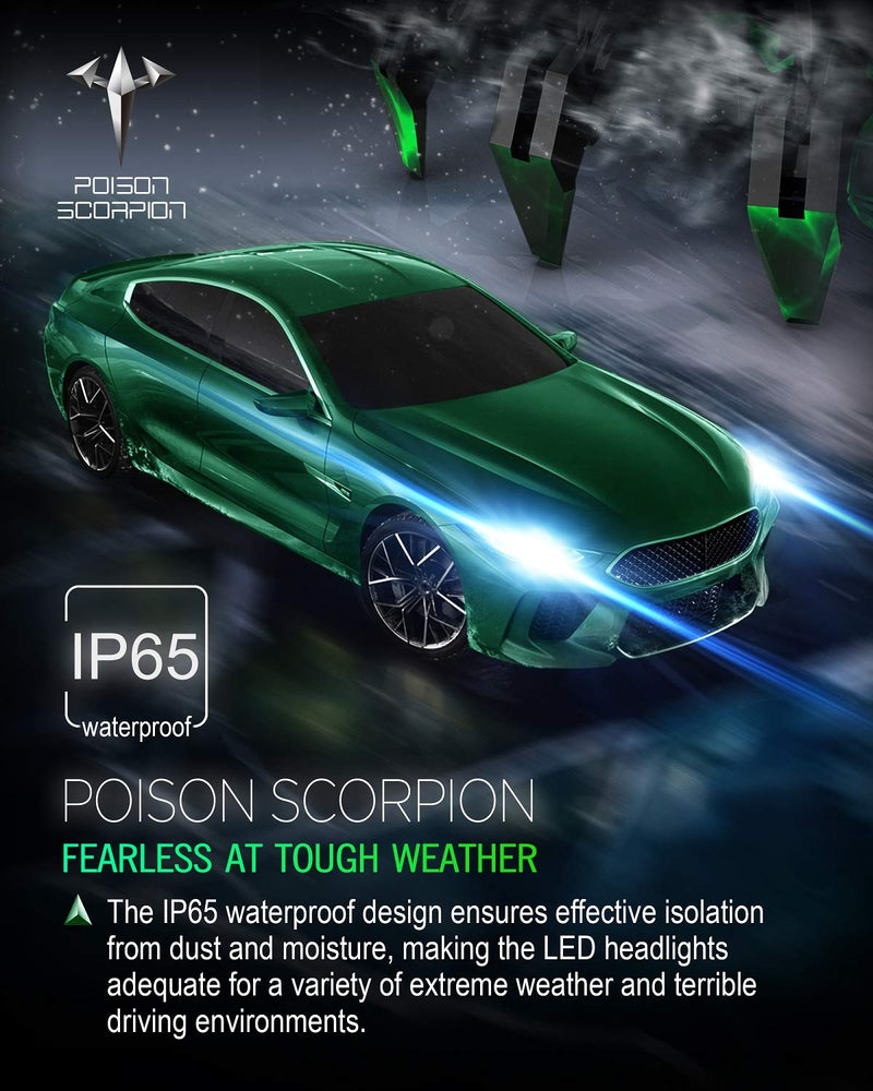 POISON SCORPION Fanless 9003 H4 LED Bulb Conversion Kit for Car | High Brightness PHI Chips 6500K Cool White Wireless All-in-One Halogen Replacement - LeoForward Australia