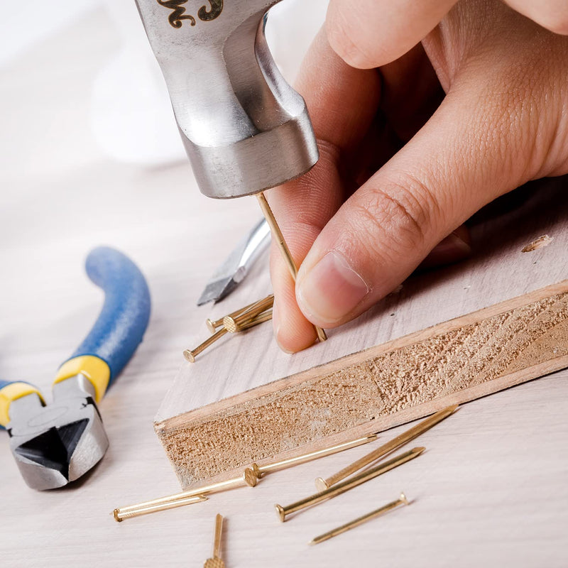 [AUSTRALIA] - Mr. Pen- Nail Assortment Kit, 600 Pcs, 4 Sizes, Gold, Small Nails, Nails for Hanging Pictures, Finishing Nails, Wall Nails for Hanging, Pin Nails, Hardware Nails, Assorted Nails, Galvanized Nails.