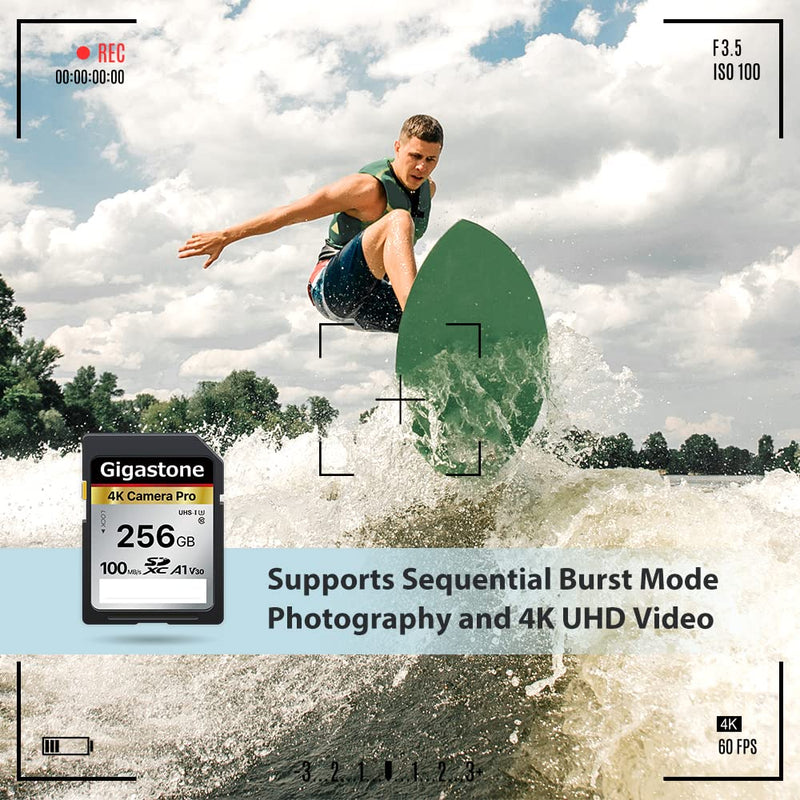  [AUSTRALIA] - Gigastone 256GB SD Card,4K Camera Pro, A1 V30 SDXC Memory Card High Speed 4K Ultra HD UHD Video Compatible with Canon Nikon Sony Pentax Kodak Olympus Panasonic Digital Camera, with 1 Mini case 4K Camera Pro 256GB 1-Pack