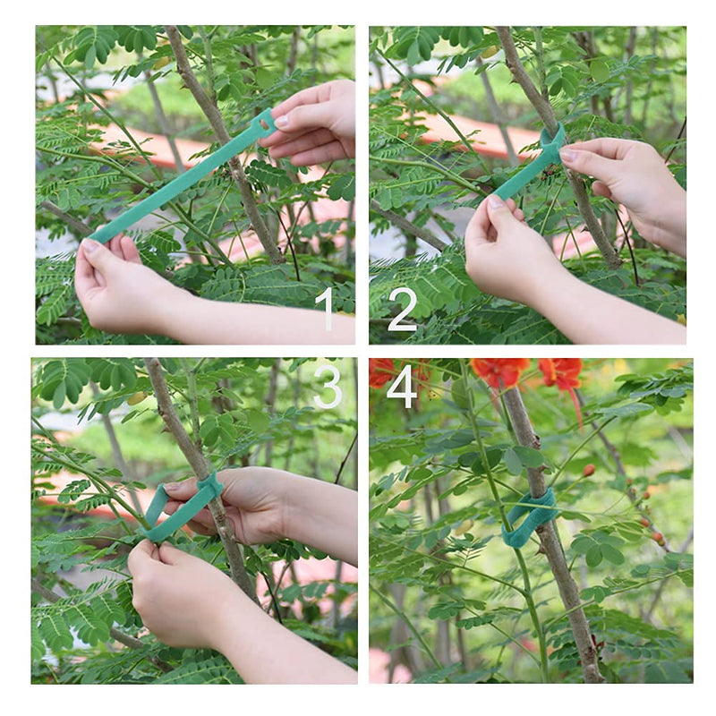  [AUSTRALIA] - Garden Hook＆Loop Plant Cable Ties, Adjustable Garden Nylon Ties for Supporting Plant and Vines, Multi-functional Garden Ties(50 Pcs, 8 Inch, Green) 50