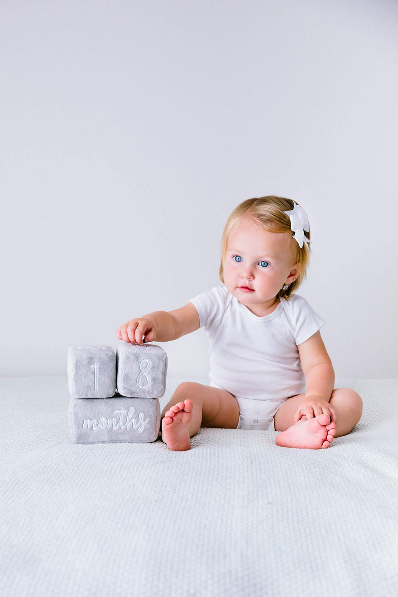  [AUSTRALIA] - Pearhead Baby Plush Photo Sharing Milestone Age Blocks, Picture Prop, Set of 3 Blocks, Gray Plush Milestone Blocks