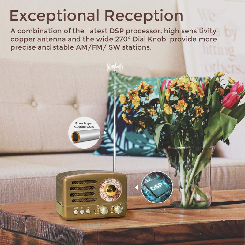  [AUSTRALIA] - PRUNUS J-160 Retro Transistor Radio Battery Operated AM FM SW Radio, Small Rechargeable Portable Radio with 1800mAh Li-ion Battery, Support TF Card/Aux/USB MP3 Player(Gold) Gold