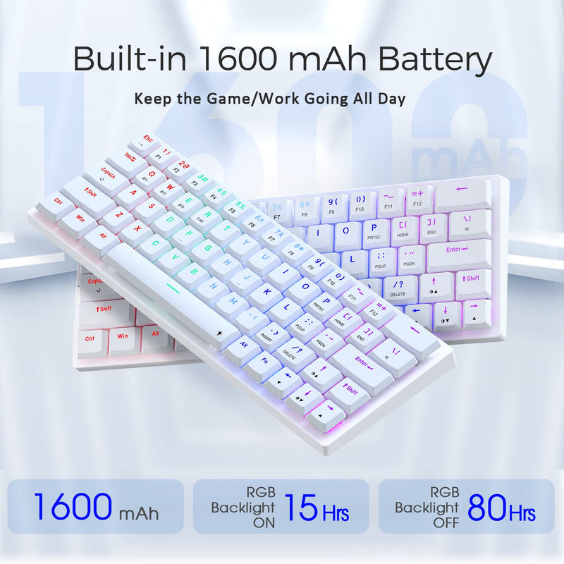  [AUSTRALIA] - 60% Wireless Mechanical Keyboard, Triple Mode 2.4G/Type-C/Bluetooth Mechanical Keyboard, Low Profile, Rainbow Backlit, Blue Switch, 63 Keys Portable Mini Wireless Gaming Keyboard for PC/Mac, White