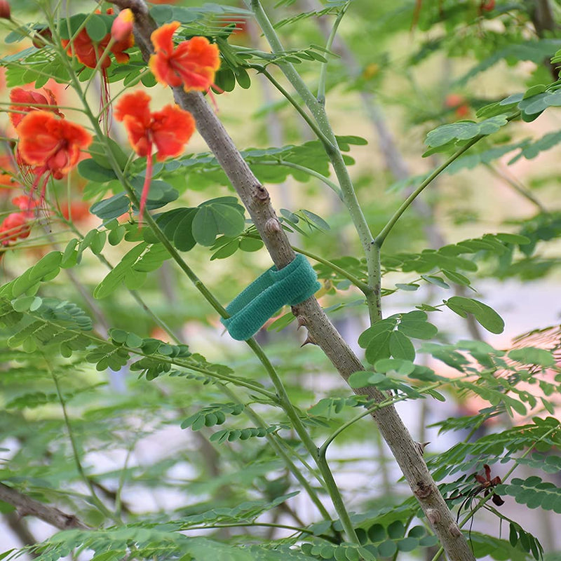  [AUSTRALIA] - Garden Hook＆Loop Plant Cable Ties, Adjustable Garden Nylon Ties for Supporting Plant and Vines, Multi-functional Garden Ties(50 Pcs, 8 Inch, Green) 50
