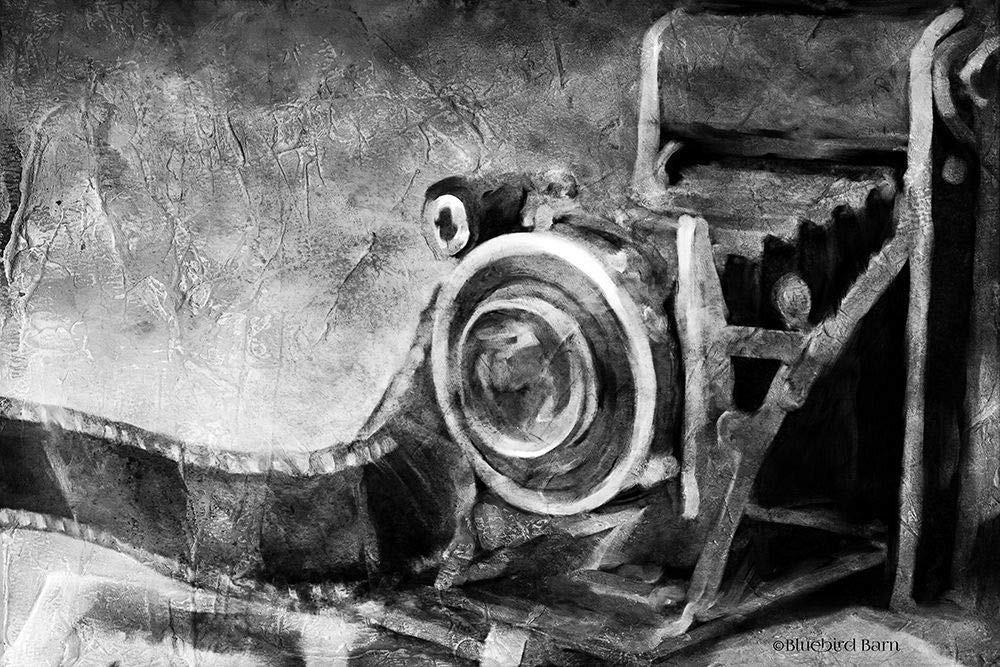  [AUSTRALIA] - Posterazzi PDXBLUE261SMALL Vintage Camera Black and White Photo Print, 24 x 18, Multi