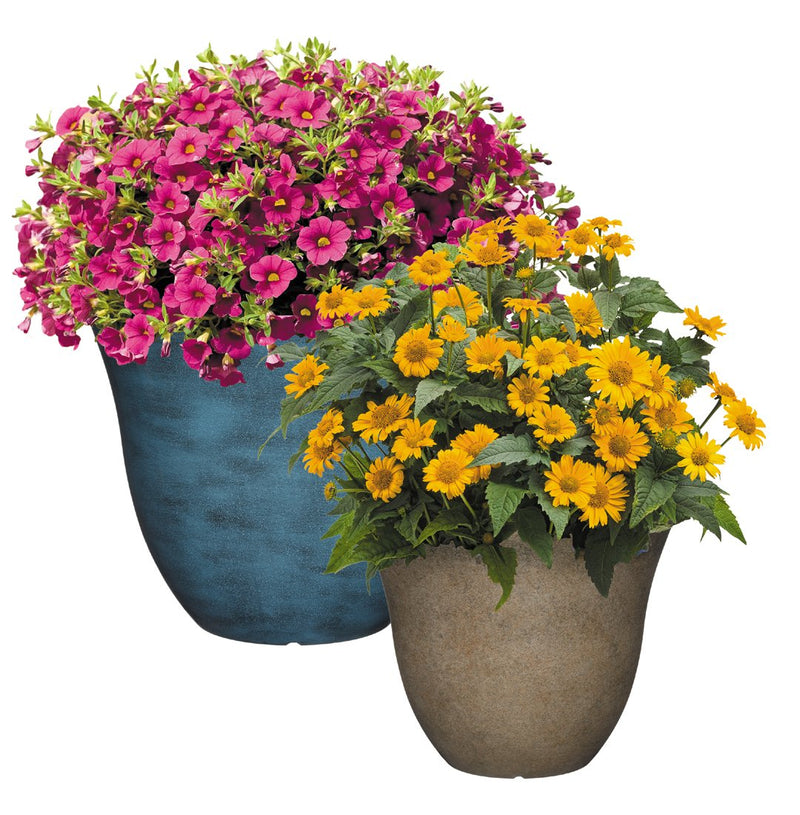 Classic Home and Garden Honeysuckle Planter, Patio Pot, 13" Bamboo - LeoForward Australia