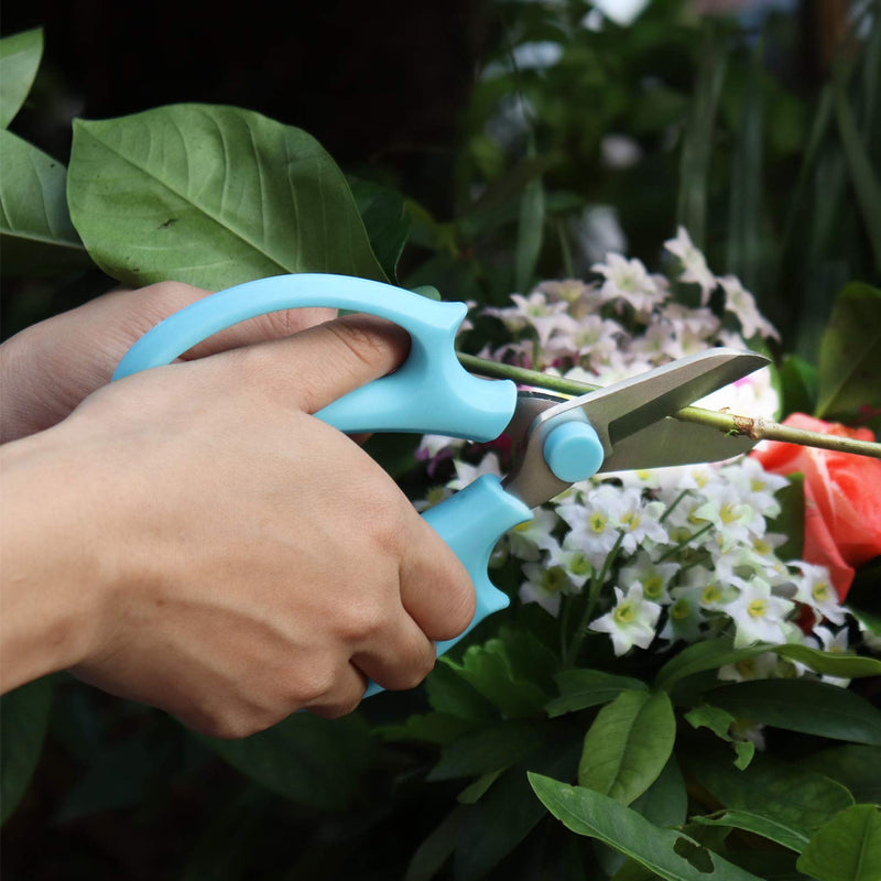  [AUSTRALIA] - Garden Pruning Shears Scissors with Comfort Grip Handle, Premium Steel Professional Floral Scissors, Perfect for Arranging Flowers, Pruning, Trimming Plants, Gardening Tool Blue