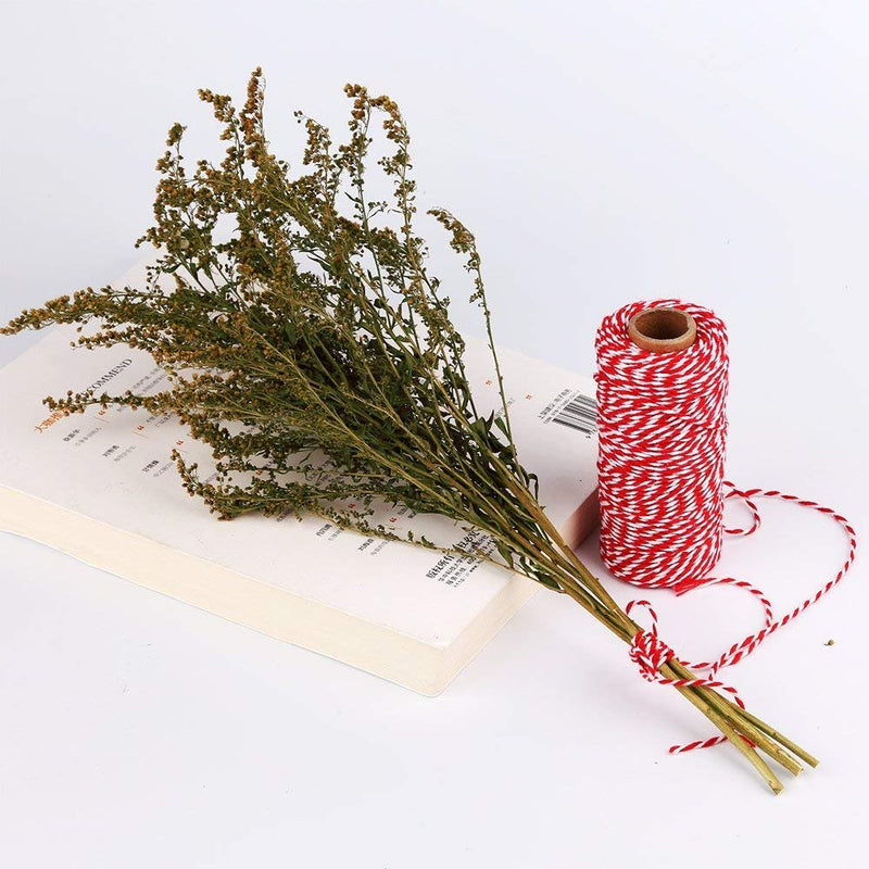  [AUSTRALIA] - Red and White Twine, 328 Feet 100m Cotton Bakers Twine Perfect For Baking, Butchers, Crafts and Christmas Gift Wrapping