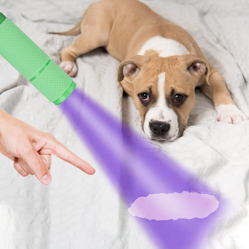  [AUSTRALIA] - COSOOS Mini Blacklight Flashlight, 9 LED Small Glow Handheld UV Lights, Portable Black Light for Dog Pet Urine Stains, Bed Bugs and Nail Dryer for Nail Gel. (Green) Green