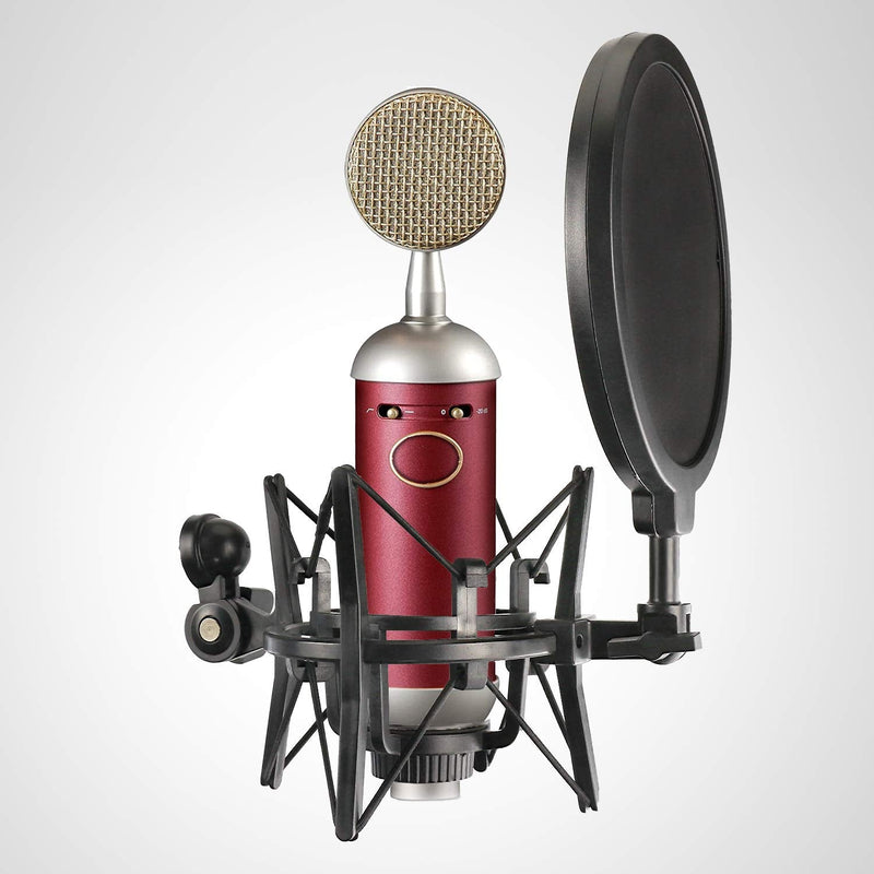  [AUSTRALIA] - Blue Spark Shock Mount with Pop Filter, Windscreen and Shockmount to Reduce Vibration Noise Matching Mic Boom Arm for Blue Spark SL Microphone by YOUSHARES