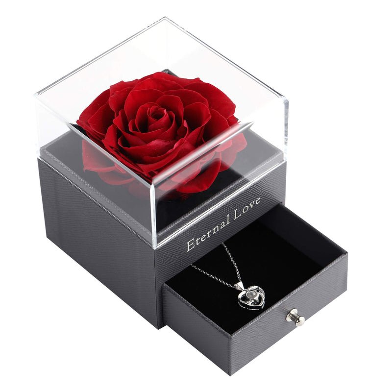  [AUSTRALIA] - Preserved Real Rose with Silver-Tone Heart Necklace I Love You in 100 Languages Gift Set, Enchanted Real Rose Flower for Valentine's Day Anniversary Wedding Romantic Gifts for her (Red Rose) Red Rose