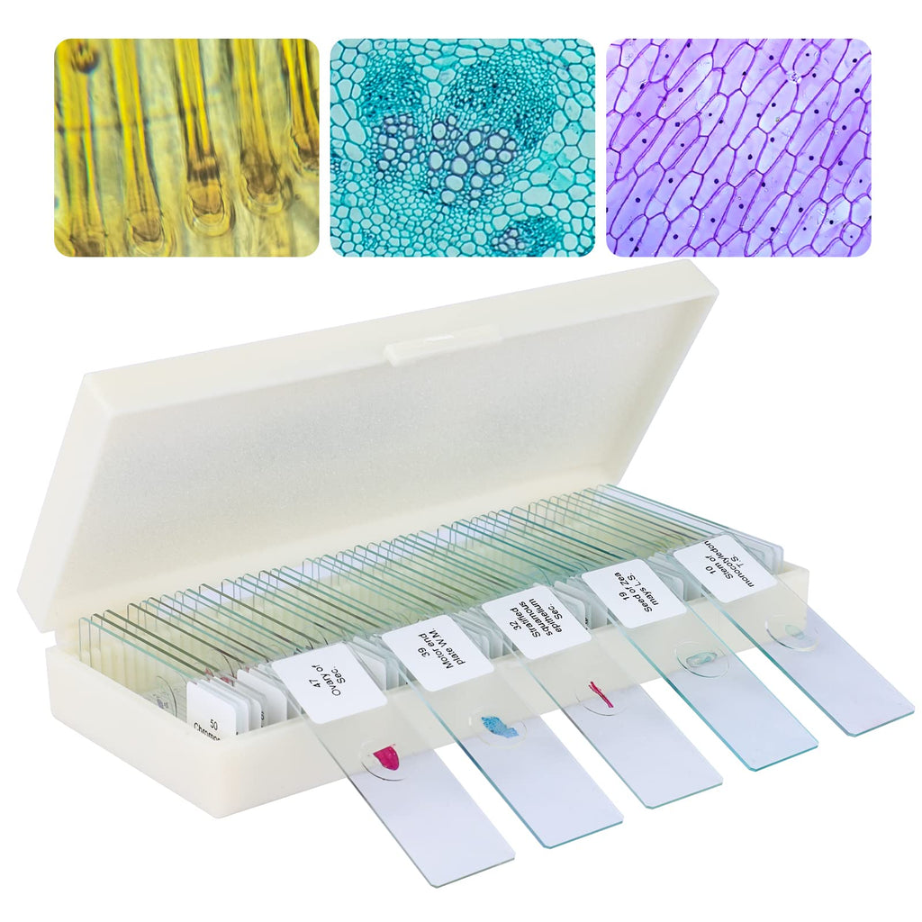 [AUSTRALIA] - 50 Pcs Microscope Slides Prepared for Student Kids Glass Microscope Slides with Lab Specimens Biological Sample with Insects Plants Animals Bacteria 50Pcs