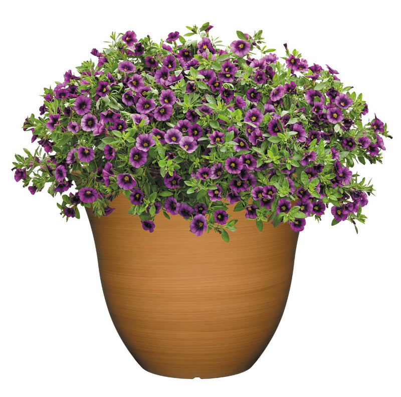Classic Home and Garden Honeysuckle Planter, Patio Pot, 13" Bamboo - LeoForward Australia