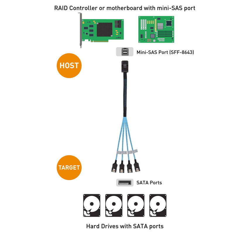 Cable Matters Internal Mini SAS HD to SATA Cable (SFF-8643 to SATA Forward Breakout) 3.3 Feet, 1m - LeoForward Australia