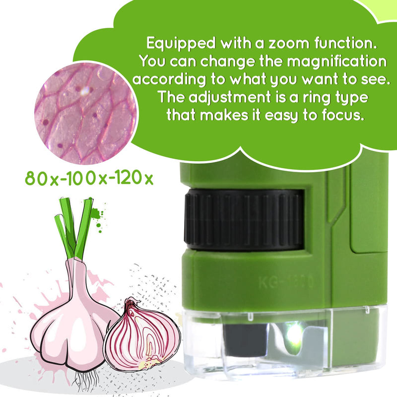  [AUSTRALIA] - 120x LED Lighted Zoom Pocket Microscope for Kids (Green)…