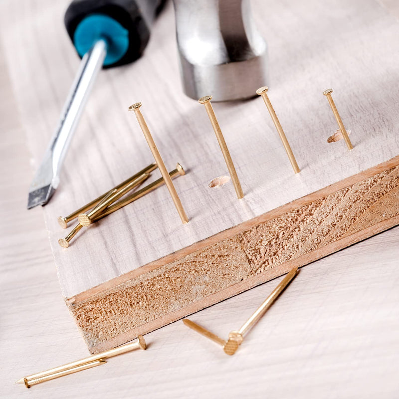  [AUSTRALIA] - Mr. Pen- Nail Assortment Kit, 600 Pcs, 4 Sizes, Gold, Small Nails, Nails for Hanging Pictures, Finishing Nails, Wall Nails for Hanging, Pin Nails, Hardware Nails, Assorted Nails, Galvanized Nails.