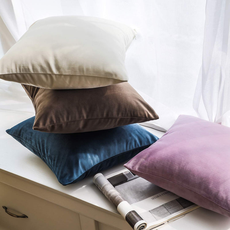  [AUSTRALIA] - Ashler Pack of 2 Soft Velvet Decorative Throw Pillow Cushion Cover Sets Black 20 X 20 Inches 50 x 50 cm 20 X 20 inch