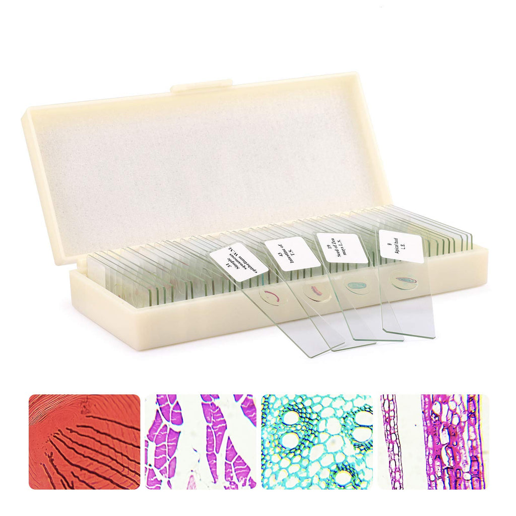  [AUSTRALIA] - QUNSE 50PCS Microscope Slides Prepared Lab Specimens Biological Sample with Insects Plants Animals Bacteria Education Science (50PCS)