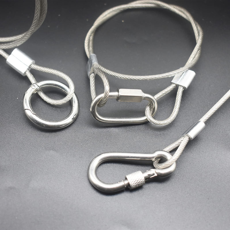  [AUSTRALIA] - Bytiyar 6 pcs 40 inch(100cm) 3mm Thickness Stainless Steel Wire Cable with Loops Vinyl Cover Coated Short Rope Lanyard Lock Safety Tether Chains,Clear 40in/100cm Clear_6Pcs