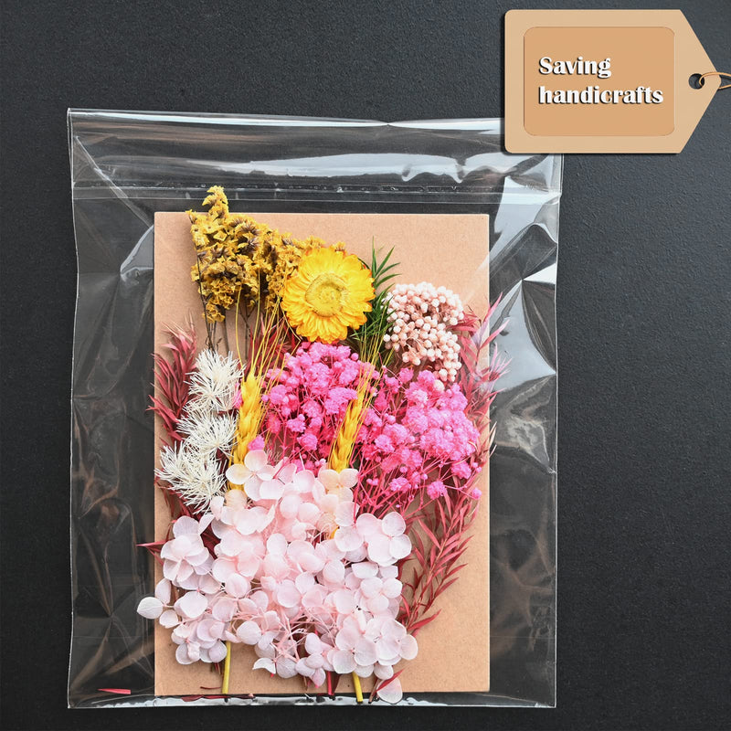  [AUSTRALIA] - Egofine 100 PCS Clear Resealable Cellophane Bags for 5x7 Photo Mats (Bag Size: 5.27x7.16 inches for 5x7 Mats) 5" x 7" Pack of 100 Clear Bags