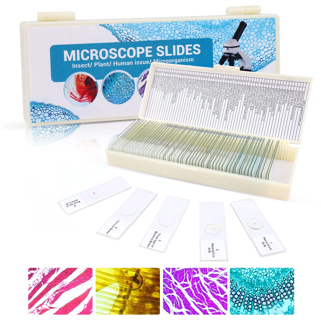  [AUSTRALIA] - 60 Pcs Prepared Microscope Slides for Kids Students Biology Specimen Lab Sample with Insects Plants Animals Bacteria for Homeschool Science Learning