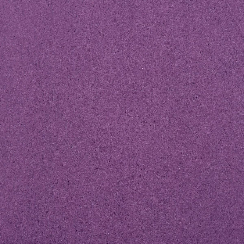  [AUSTRALIA] - 2500 Grit Sandpaper,Wet Dry Sanding Sheets,Premium Ceramic Abrasive Sand Paper for Wood Furniture Finishing,Metal Grinding,Automotive Polishing,9 x 3.6 Inch,Purple,30 Sheets 2500 Grit