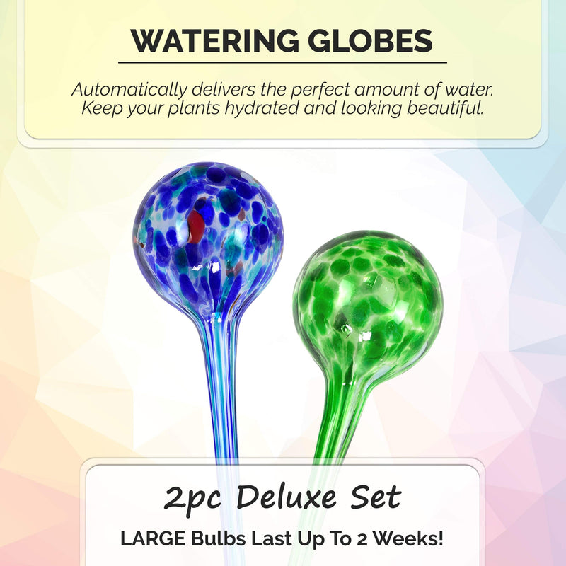  [AUSTRALIA] - Blazin' Bison Self Watering Bulbs for Plants | Automatic Vacation House Plant Water Globes | Decorative Hand-Blown Glass Aqua Globe | 2pc Deluxe Set (Large) 2 Large