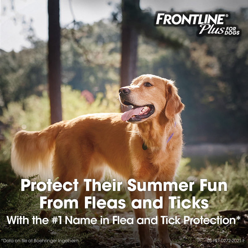 Frontline Plus Flea and Tick Treatment for Dogs (Small Dog, 5-22 Pounds, 3 Doses) - LeoForward Australia