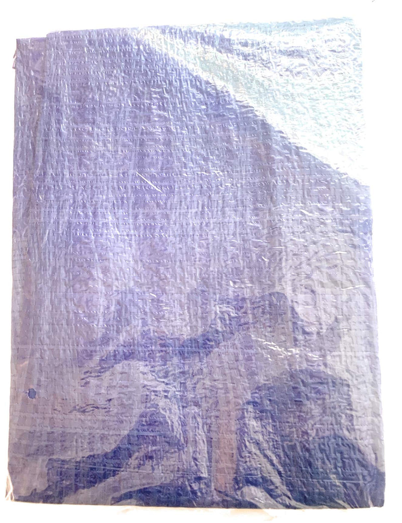  [AUSTRALIA] - Tool Bench Hardware 4' X 6' Blue Tarp Tarpaulin