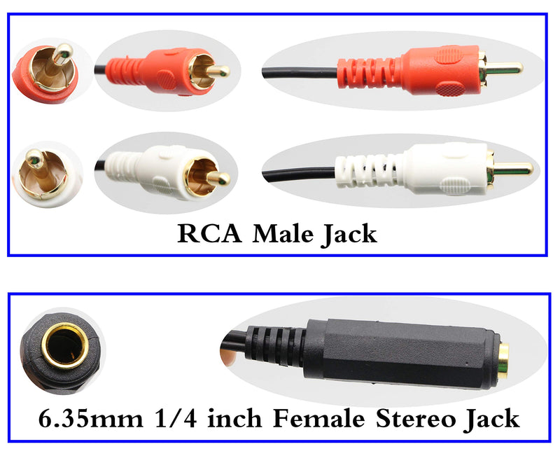 zdyCGTime 6.35mm to 2 RCA Y Splitter Cable, Gold-Plated 6.35mm (1/4 inch) TRS Female to 2 (Dual) RCA Male Stereo Audio Y Splitter Extension Adapter Cable (12Inch/30CM) 12Inch/30CM - LeoForward Australia