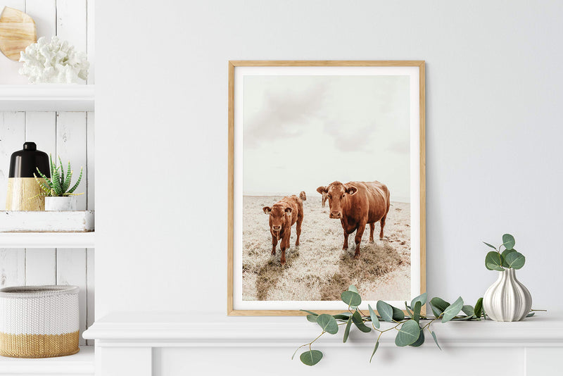  [AUSTRALIA] - HAUS AND HUES Highland Cow Art and Farmhouse Wall Decor Cow Wall Art and Farmhouse Pictures | Cow Decor | Cow Prints Wall Art | Highland Cow Wall Art Cow Pictures Wall Decor (8" x 10" UNFRAMED) 8x10