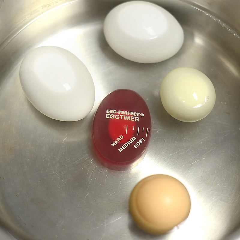  [AUSTRALIA] - Norpro Egg Perfect Egg Timer 1 One Size