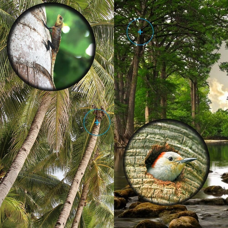  [AUSTRALIA] - 16x52 Monocular Dual Focus Optics Zoom Telescope for Birds Watching / Wildlife / Hunting / Camping / Hiking / Tourism / Armoring / Living Concert 66m/8000m