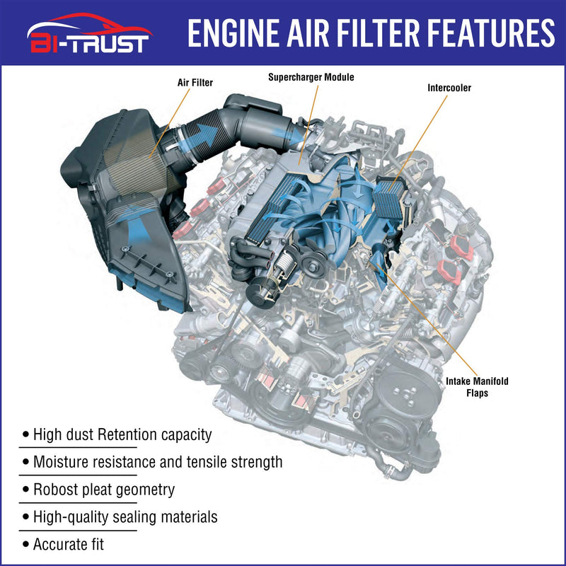 Bi-Trust Engine Cabin Air Filter,Replace Fram CF10132,CA9360,Compatible with Lexus ES330 2004-2006 V6 3.3L,RX350 2007-2009 V6 3.5L,2-Pack - LeoForward Australia