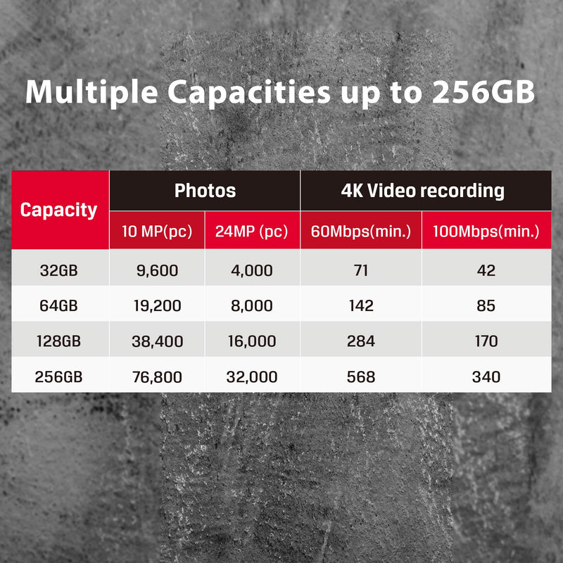Kingston 64GB SDXC Canvas React Plus 300MB/s Read UHS-II, C10, U3, V90 Memory-Card (MLPR2/64GB) SD Card Fastest (Up to 300 MB/s) Single - LeoForward Australia