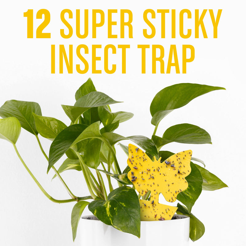 Gnat Sticky Trap (12 Pack) Gnat Traps for House Plants, Yellow Sticky Traps for Gnats, Fruit Fly Traps, Gnat Killer for Indoor Plants 12 Pack - LeoForward Australia